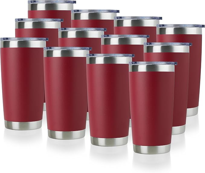 DOMICARE 20oz Stainless Steel Tumbler Bulk by VisittheDOMICARE