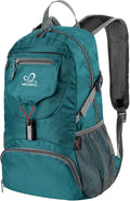 WATERFLY Small Lightweight Packable Backpack: 20l Ultra Light Foldable Travel by Waterfly