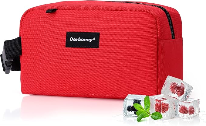Small Cooler Bag Freezable Lunch Bag by Cerbonny