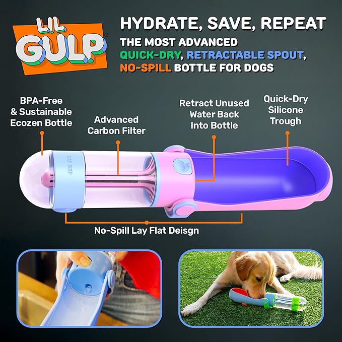 Lil Gulp Dog Water Bottle | Advanced Carbon Filtration - Image 2