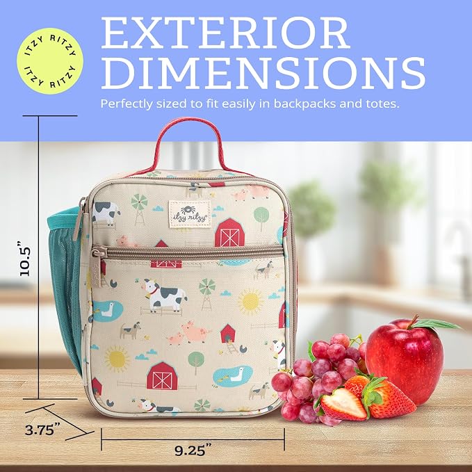 Itzy Ritzy Toddler Lunch Box - Image 4