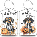 Halloween Funny Dachshund Dog and Pumpkin Set of 2 Luggage Tags by Unknown