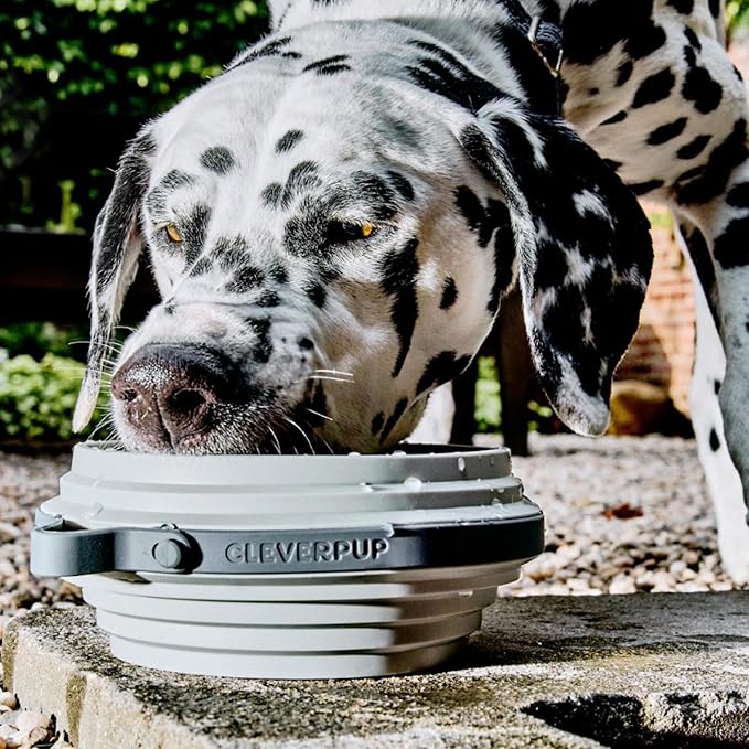 Nomad Large Collapsible Dog Bowl - Image 3