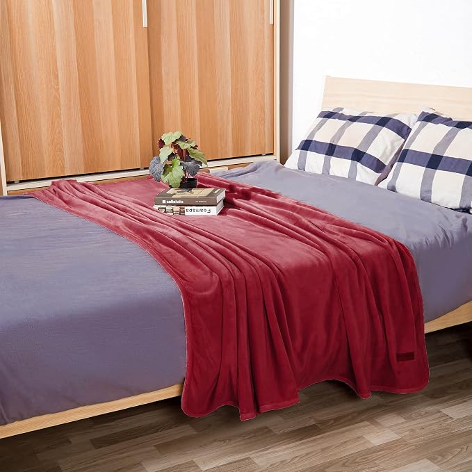 Surii Home Luxury Microfiber Flannel Blanket, Super Soft, and Breathable - Image 9
