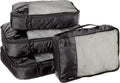 Amazon Basics 4 Piece Packing Travel Organizer Zipper Cubes Set, Medium and by AmazonBasics