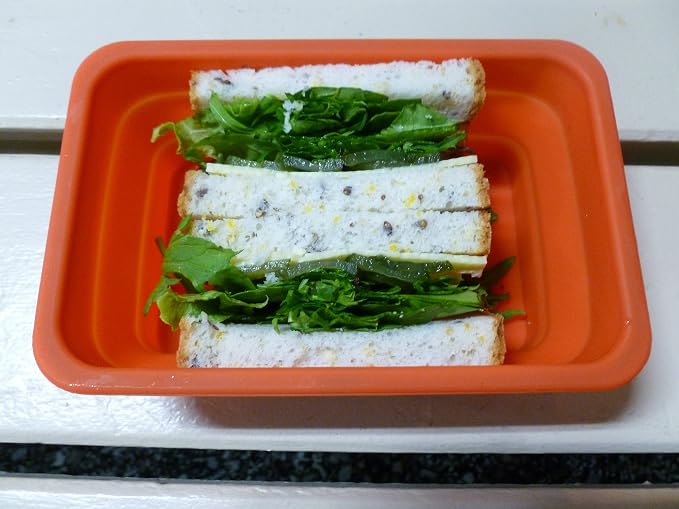 Oven & Microwave Safe Silicone Collapsible Lunch Box / Cake Mold / Food - Image 6