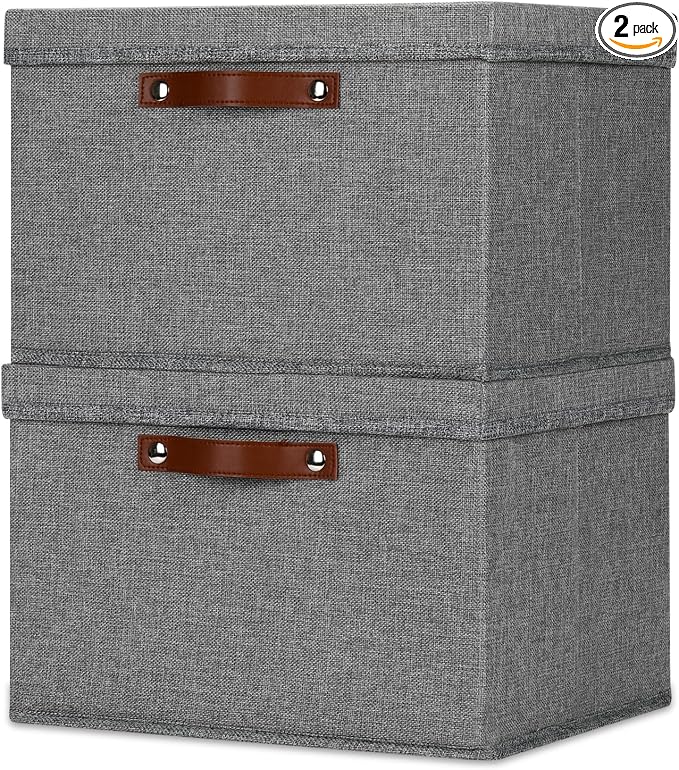 Temary Storage Bins with Lids 2-Pack Large Foldable Storage Baskets with Lid by TEMARY